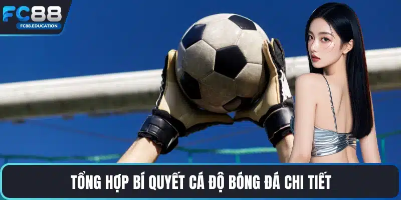 Tổng hợp bí quyết cá độ bóng đá chi tiết